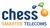 Chess Telecom Logo