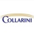 Collarini Energy Experts Logo