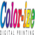 Color-ize Logo