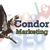 Condor Marketing Logo