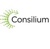 Consilium Logo