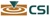 CSI Executive Search Logo