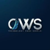 CWS Technology Inc. Logo