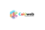 Cakiweb Solutions Logo