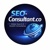 SEO Consultant Logo
