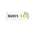 BAHES Tech Logotype