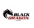 Black Dragon Security Pvt Ltd Logotype