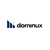 dominux Logotype