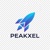 Peakxel Studio Logotype