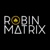 Robin Matrix Logotype