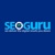 SEOGURU Logotype