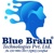 Blue Brain Technologies Private Limited Logotype