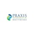 Praxis Info Solutions Logotype