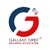 GALLANT ORBIT SOLUTIONS PRIVATE LIMITED Logo