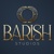 Barish Studios Logotype