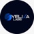 Velixa Labs Logotype