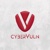 CyberVuln Logo
