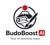 BudoBoost AI LLC Logotype