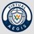 Virtual Aegis Logotype