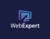 Web Expert Logotype