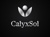 CalyxSol Logotype