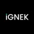 IGNEK Logotype