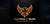 EagleFlow Logo