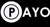 Payomatix Technologies Logotype