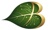 Bodhion Solutions Private Limited Logo
