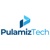 Pulamiz Technology Logotype