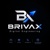 Brivax - Digital Engineering Logotype