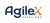Agilex Solutions Private Limited Logotype