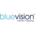 Blue Vision Internet Marketing Logo