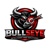Bullseye Intelligent R&D Solutions Logotype