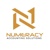 Numeracy Accounting Solutions Logotype