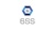 6SS Logotype