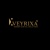 Veyrixa NexGen Digital Solutions Logotype