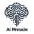 Ai-pinnacle Logo