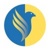 Falcon Informatics Logo