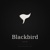 Blackbird SEO Logotype