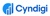 Cyndigi Logotype