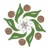 Anvitam Logotype