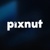 Pixnut Logo