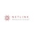 Netlink Resource Group – API Integration Services & Custom API Development Logotype