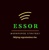 Essor Workforce Strategy Logotype