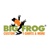 Big Frog Orlando Logotype