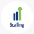 Scaling Financial Consulting Logotype