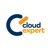 Cloud Expert Logo