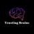 TRUSTING BRAINS IT SERVICES PRIVATE LIMITED Logotype