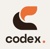 Code X Private Limited Logotype